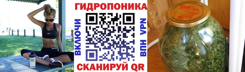 наркотики  Соликамск  МАРИХУАНА SATIVA & INDICA 